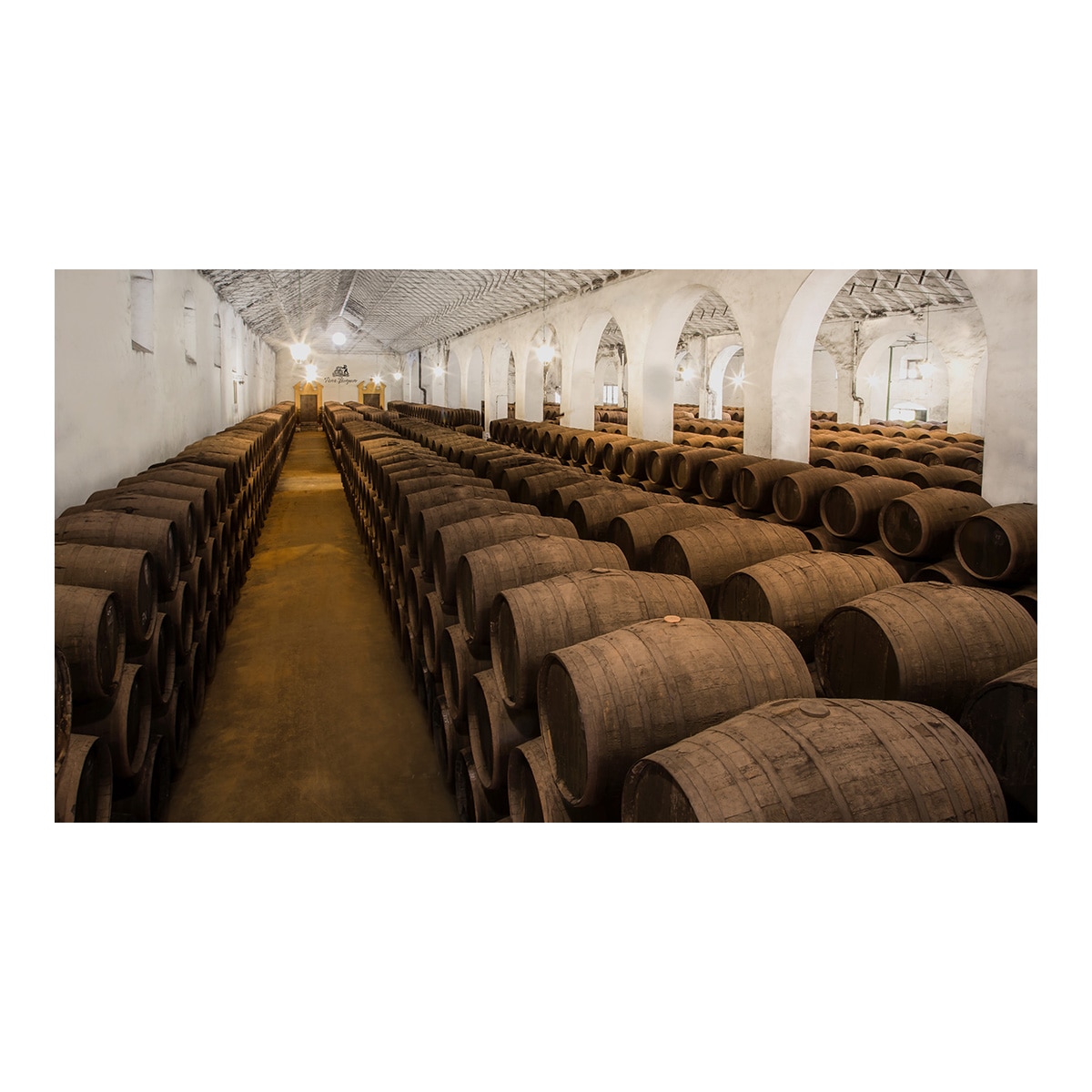 Vino Fino en Rama Gran Barquero Solera 10 años DOP Montilla-Moriles 2