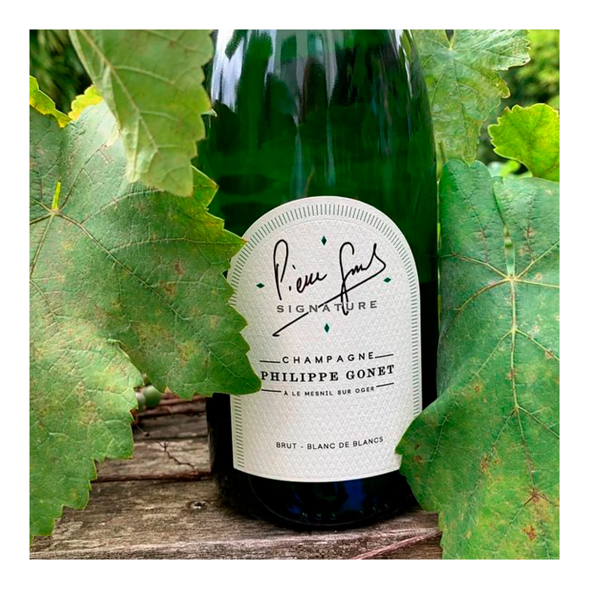 Champagne Philipe Gonet Brut Signature Blanc de Blancs 2