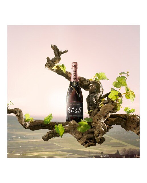 Estuche Champagne rosé Moët & Chandon Grand Vintage 2016 3