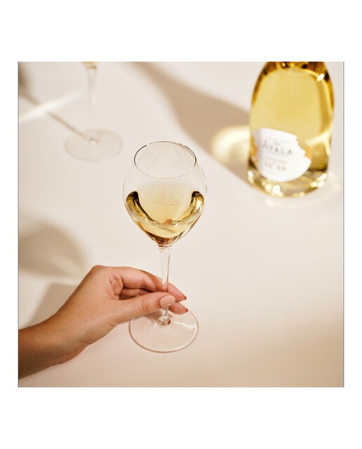 アヤラ コレクション N°16 箱付 Estuche Champagne Ayala Nº 16 blanc de blancs · Ayala · El Corte