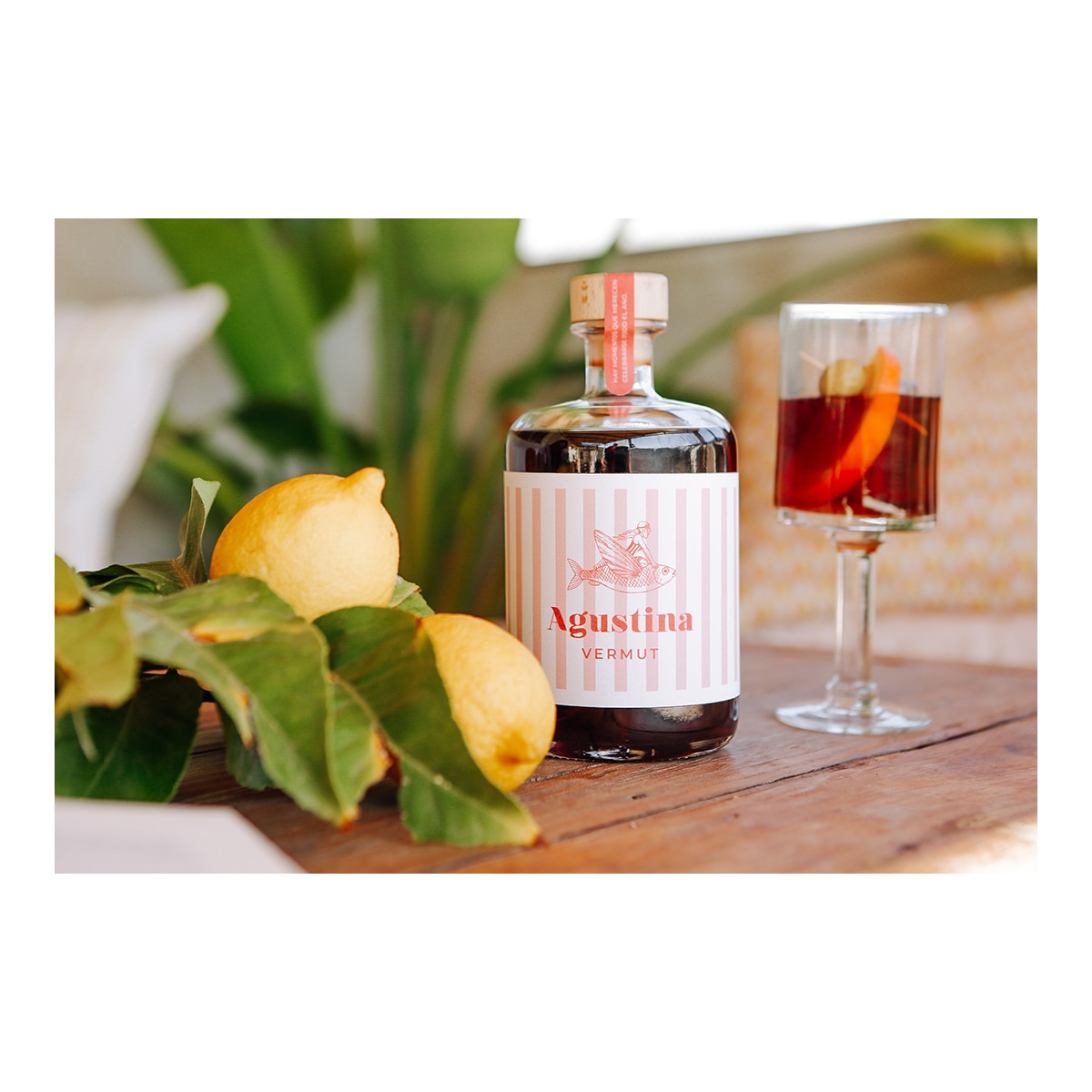 Vermut artesanal elaborado con uva Moscatel Agustina 3