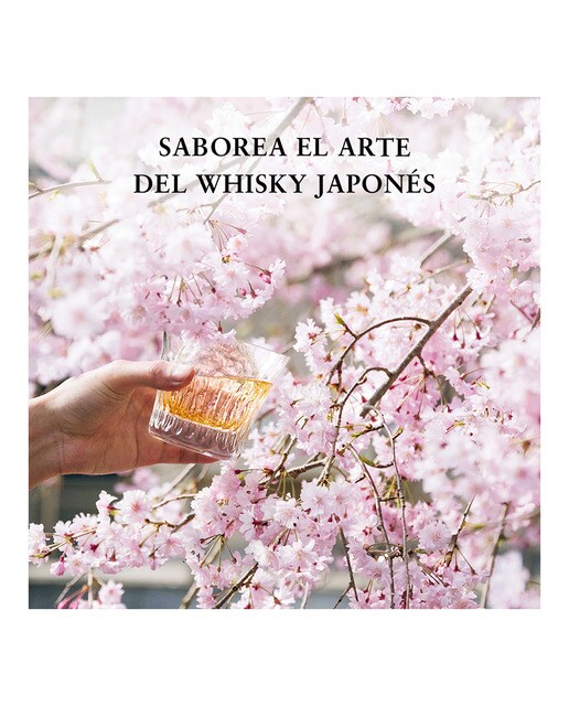 Estuche whisky japonés Hibiki Harmony Suntory Edición Limitada 100 Aniversario 3