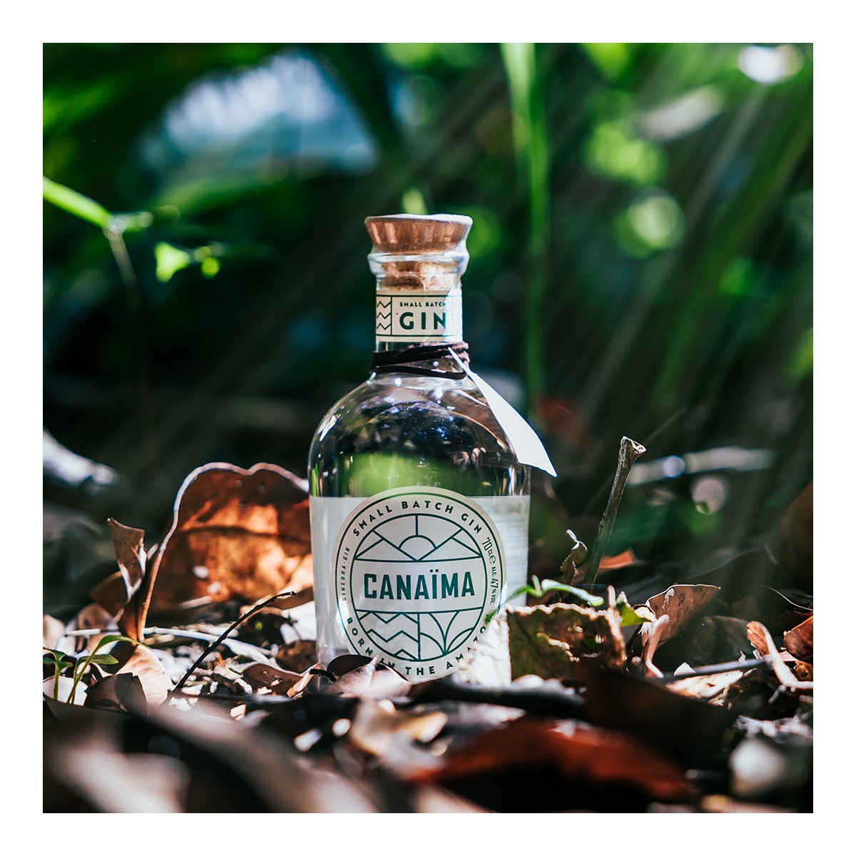 Ginebra del Amazonas Canaïma Gin 2