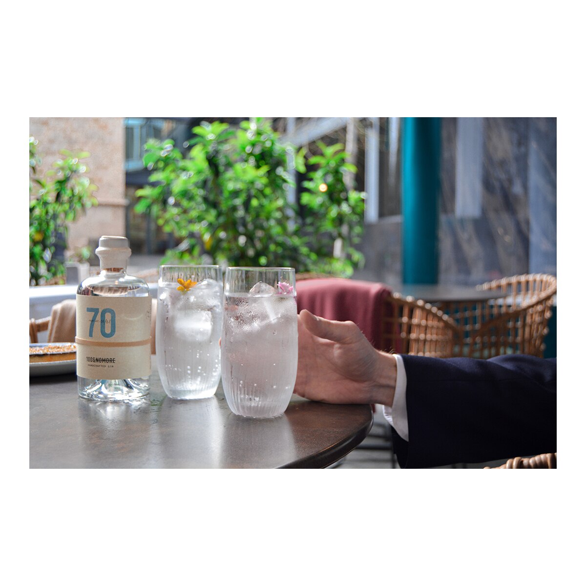 Ginebra Brava 100&Nomore 5
