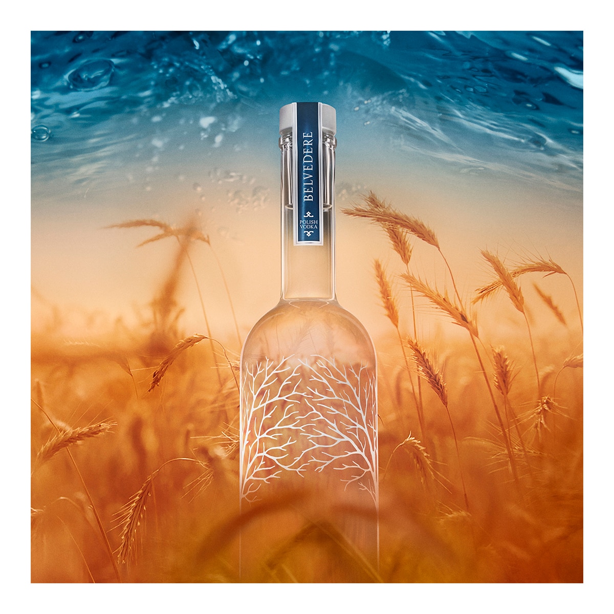 Vodka Belvedere 2