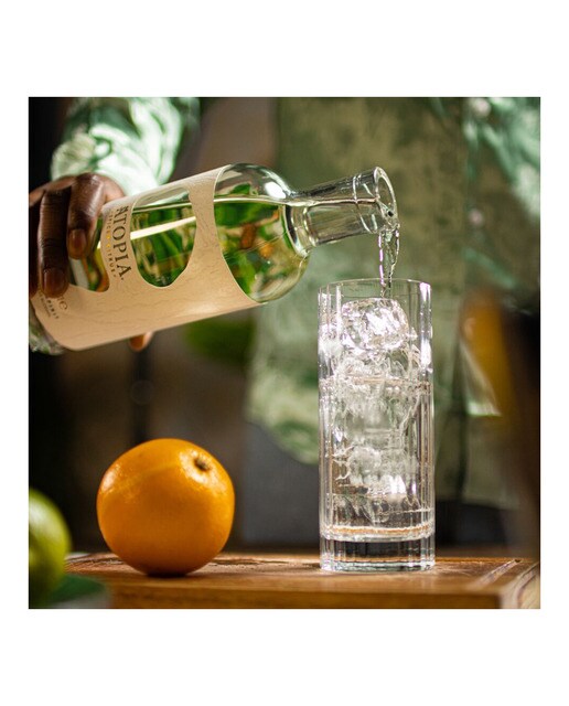Spiced Citrus Atopia sin alcohol 4
