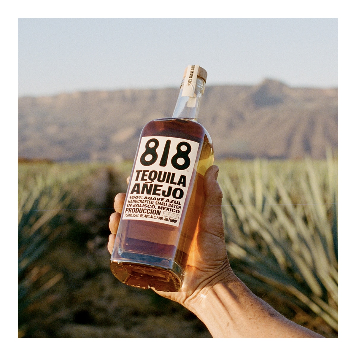 Tequila Añejo agave azul 818 2