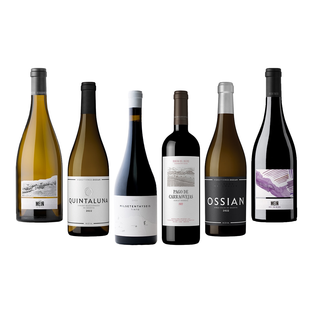 Vinos Selección Alma de Carraovejas 1
