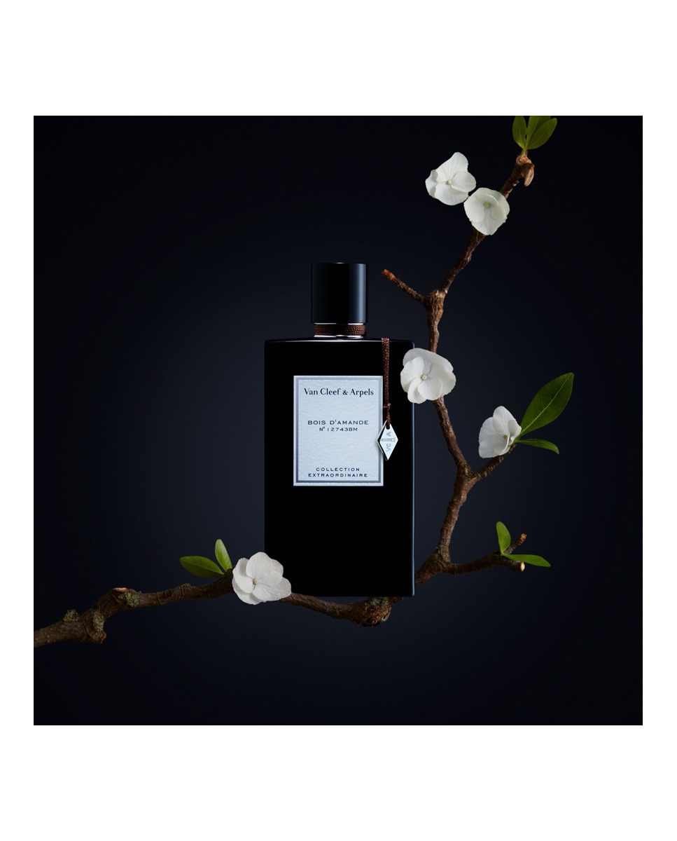 Eau de Parfum Collection Extraordinaire Bois D' Amande 75 ml Van Cleef & Arpels - 75 ml 3
