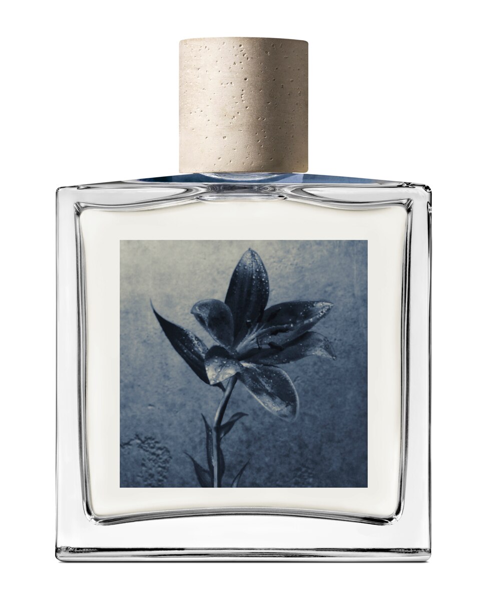 Eau de Parfum Concrete Rain 100 ml AllSaints - 100 ml 1