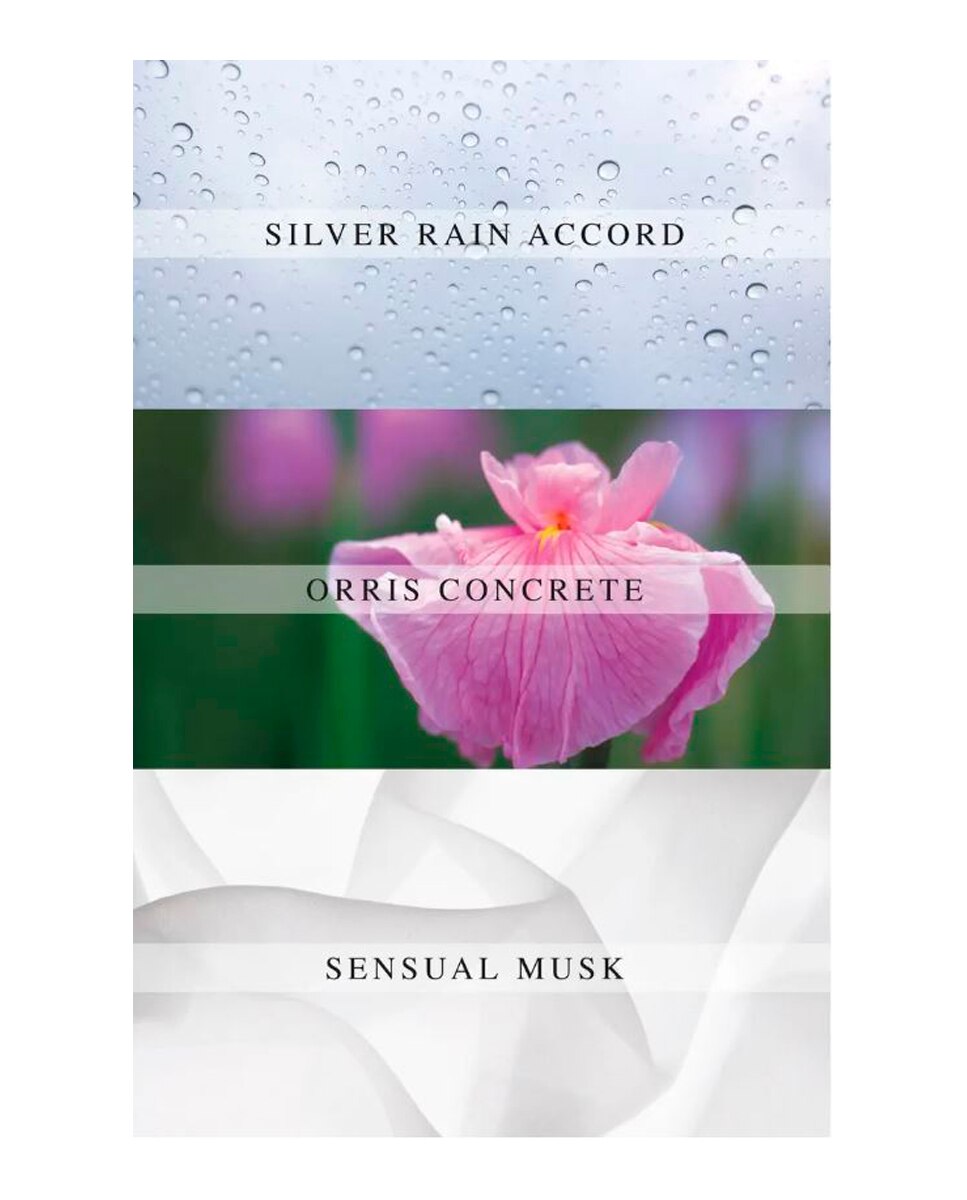 Eau de Parfum Concrete Rain 100 ml AllSaints - 100 ml 5
