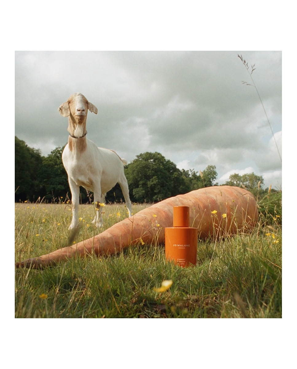 Eau De Colonia Carrot Blossom Jo Malone London 3