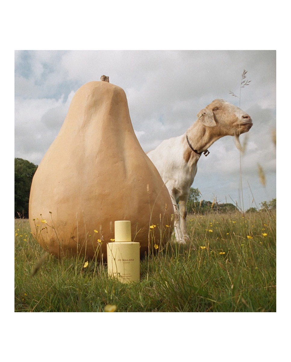 Eau De Colonia Velvety Butternut Jo Malone London · El Corte Inglés