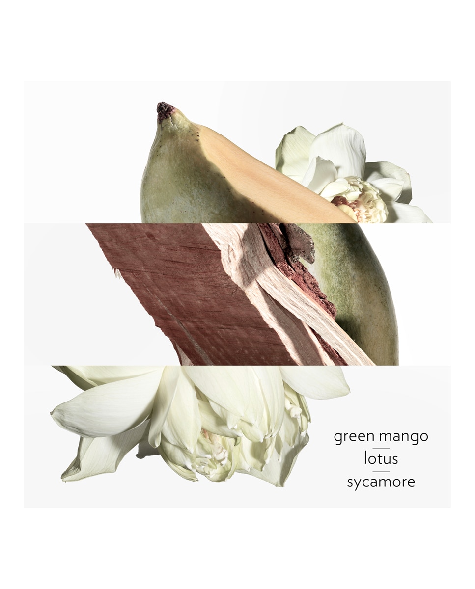 Thumbnail 3 de Hermès Un Jardin Sur le Nil Eau de Toilette 100 ml