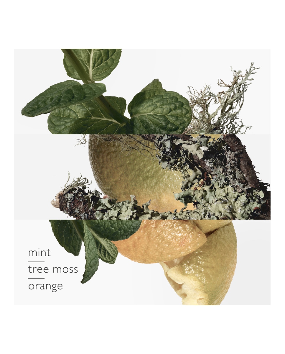 Thumbnail 1 de Hermès Eau de Toilette Concentré D'Orange Verte 50 ml