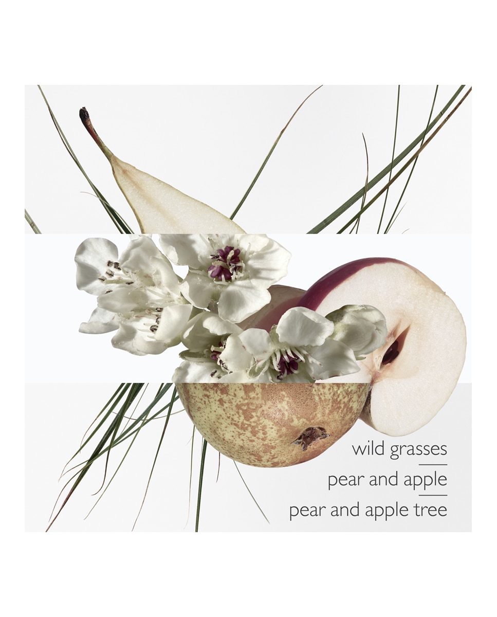 Thumbnail 3 de Hermès Eau de Toilette Un Jardin Sur le Toit 50 ml