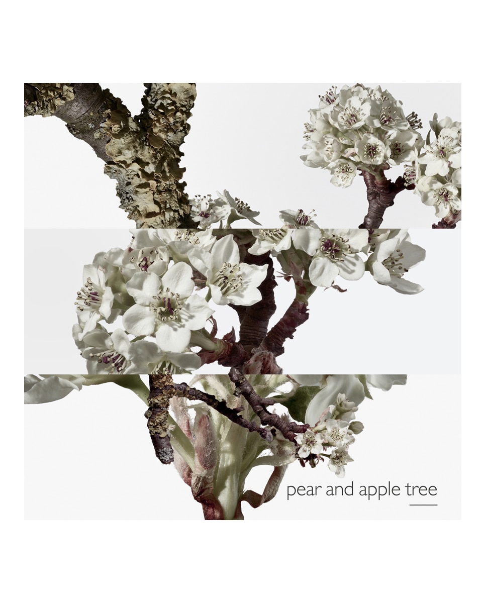 Thumbnail 4 de Hermès Eau de Toilette Un Jardin Sur le Toit 50 ml