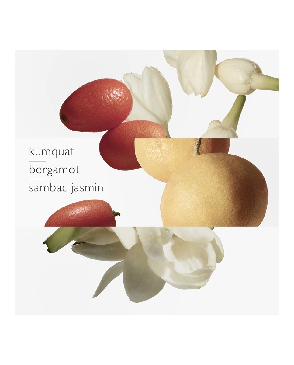 Thumbnail 3 de Hermès Le Jardin de Monsieur Li Eau de Toilette 50 ml