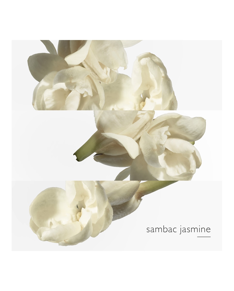 Thumbnail 4 de Hermès Le Jardin de Monsieur Li Eau de Toilette 50 ml