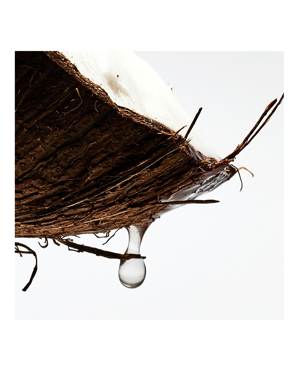 Thumbnail 2 de LOEWE Paula's Ibiza Eau de Toilette 100 ml