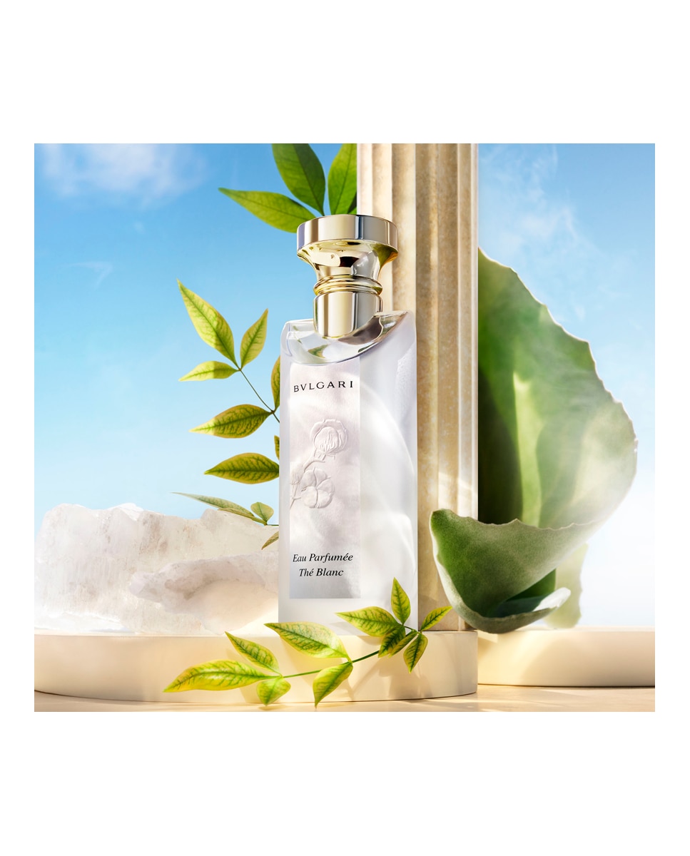 Eau De Toilette Eau Parfumée Thé Blanc Bvlgari 75 ml · El Corte Inglés