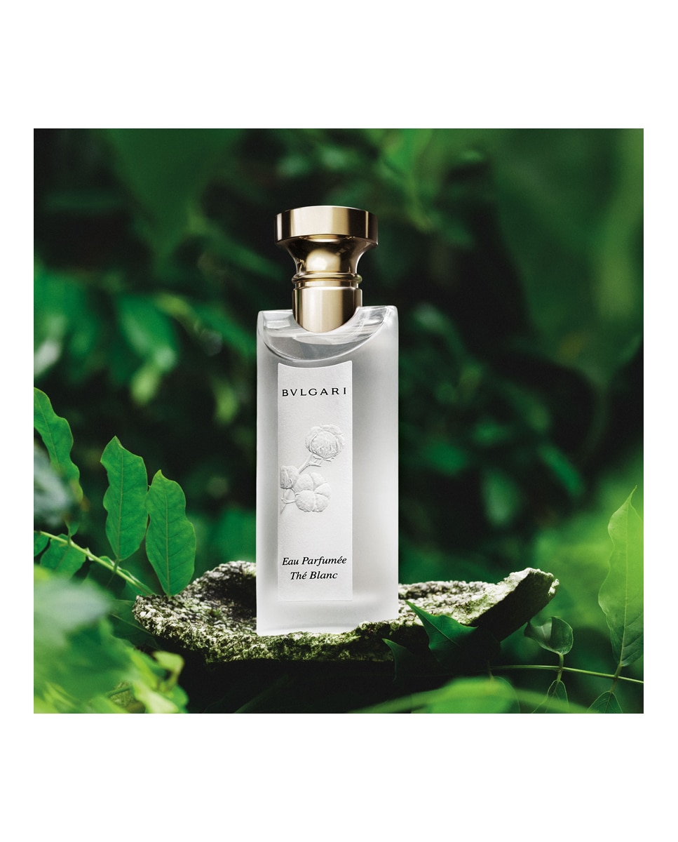 Eau De Toilette Eau Parfumée Thé Blanc Bvlgari 75 ml · El Corte Inglés