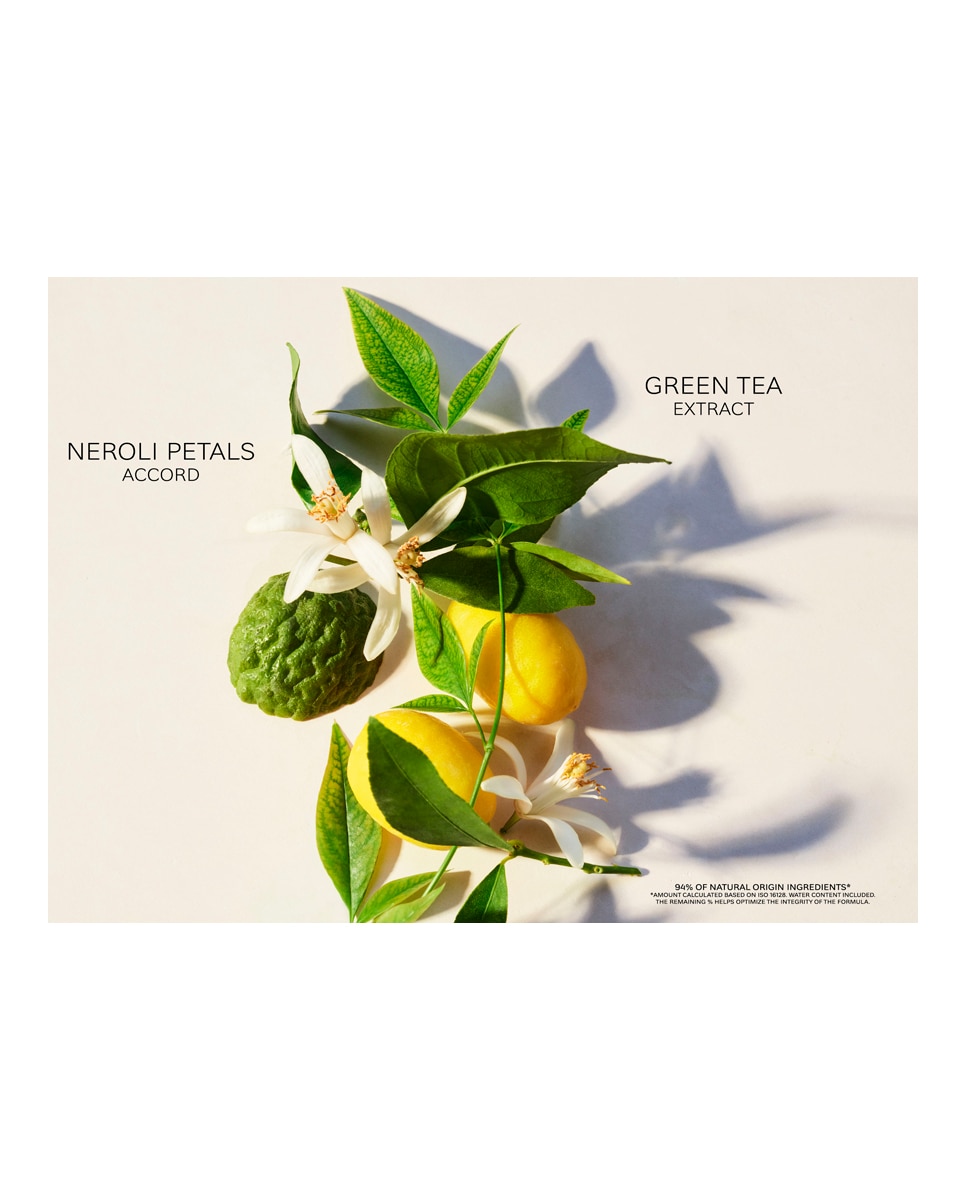 Eau De Toilette Eau Parfumée Thé Vert Bvlgari - 75 ml 3
