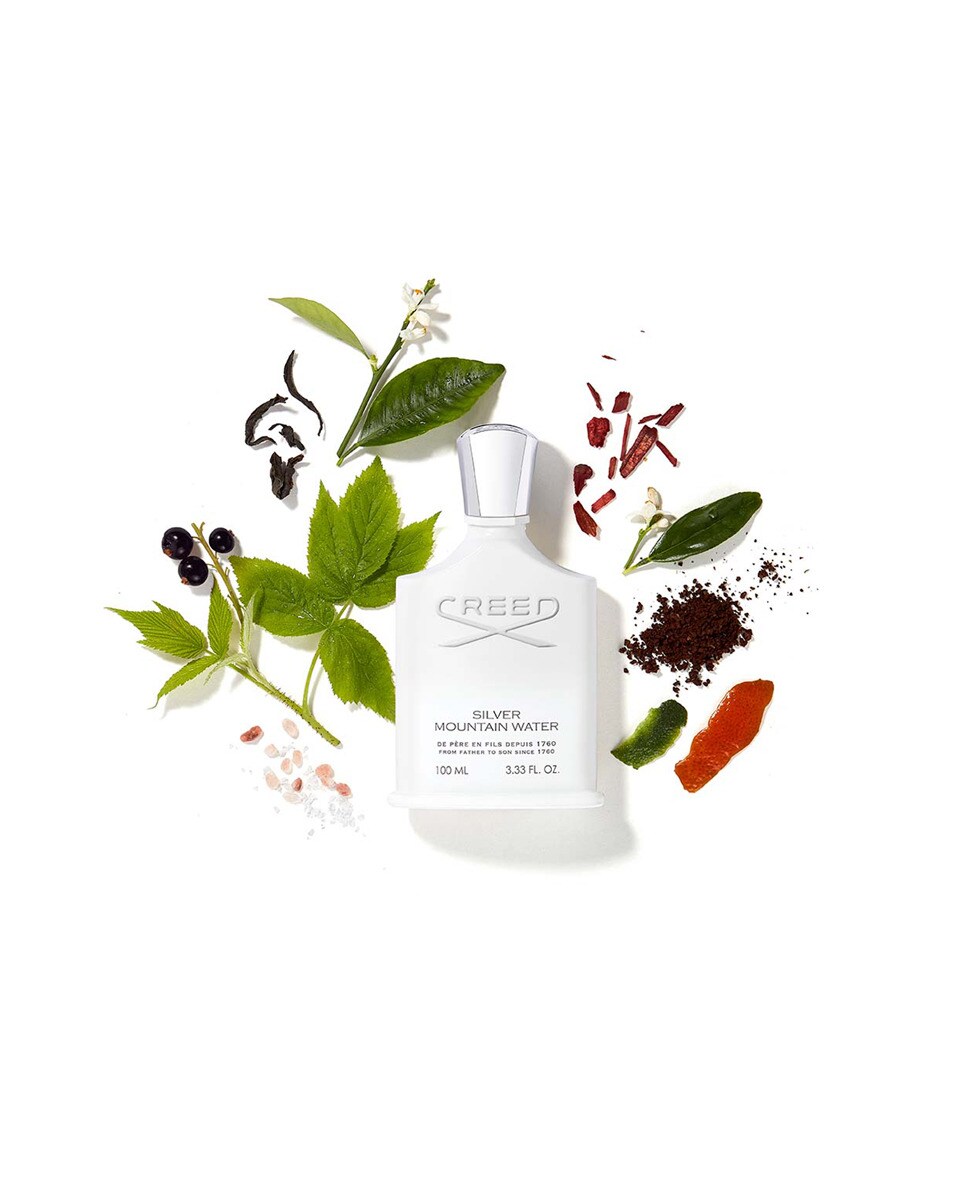 Eau de Parfum Silver Mountain Water Creed - 50 ml 3