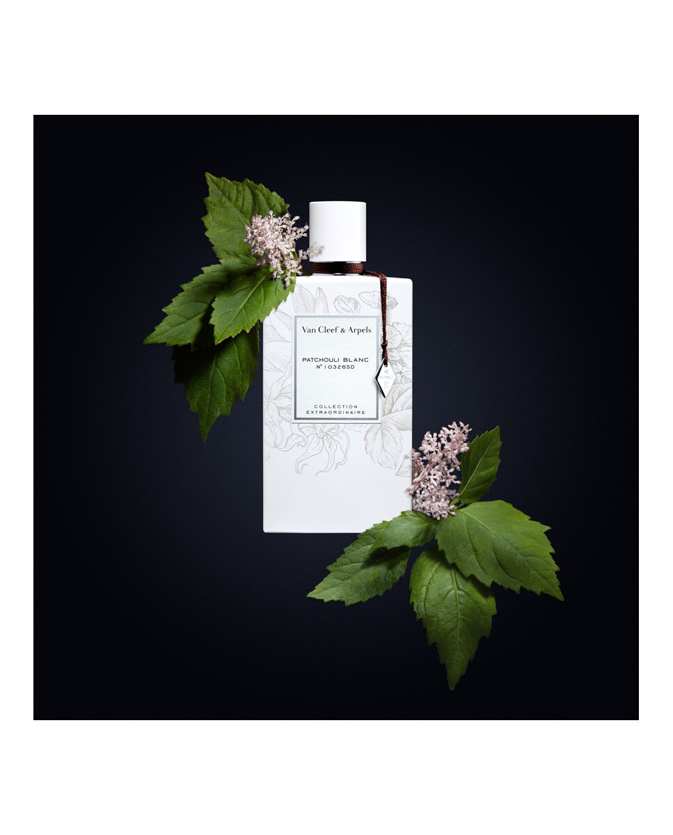 Imagen 3 de Eau de Parfum Patchouli Blanc 75 ml Van Cleef & Arpels - 75 ml