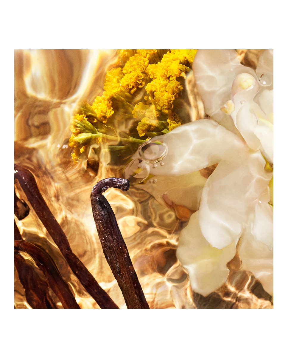 Thumbnail 3 de Guerlain Aqua Allegoria Forte Bosca Vanilla 125 ml — Eau de Parfum