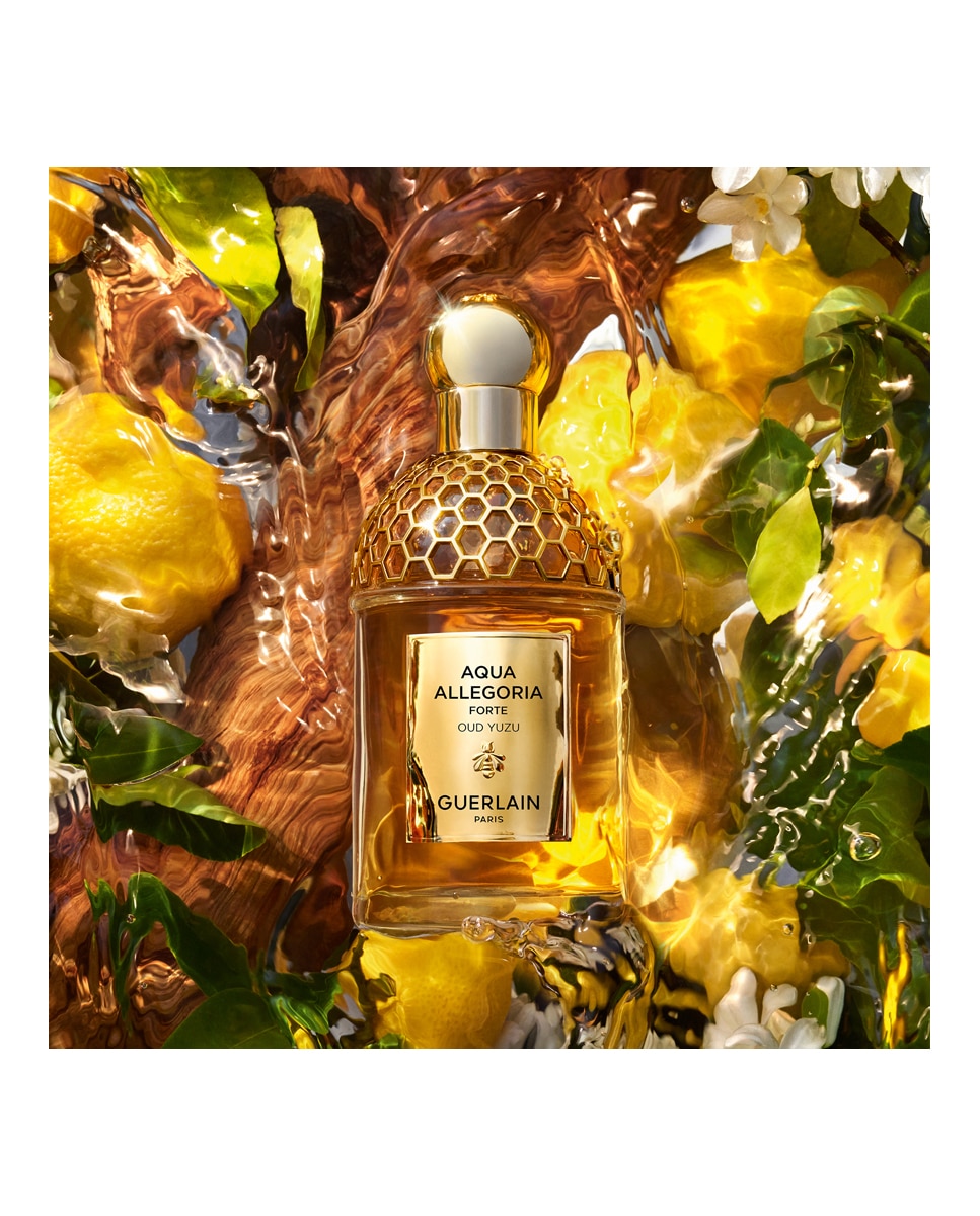 Eau de Parfum Aqua Allegoria Forte Oud Yuzu Guerlain 75 ml · El