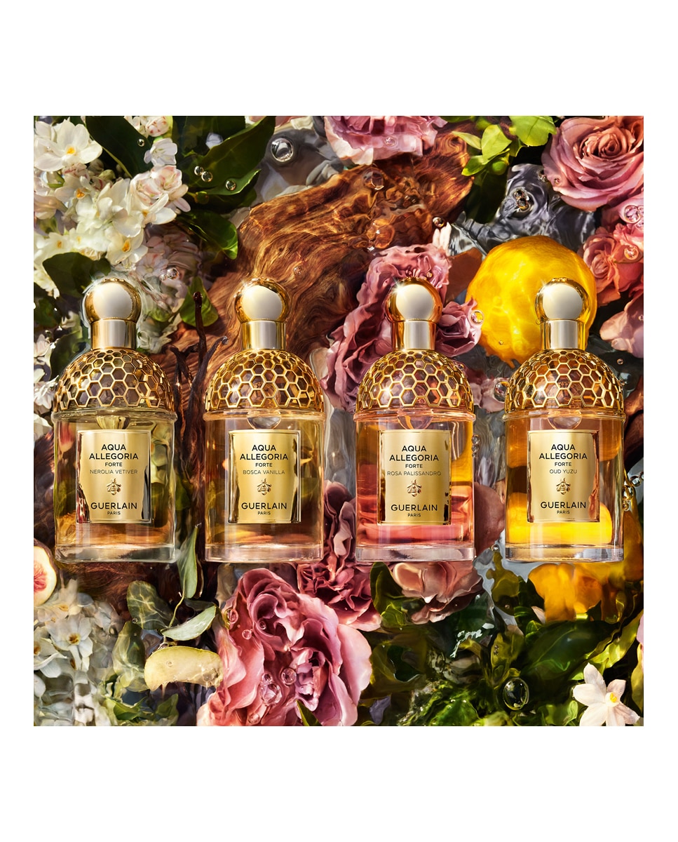 Eau de Parfum Aqua Allegoria Forte Oud Yuzu Guerlain - 75 ml 9