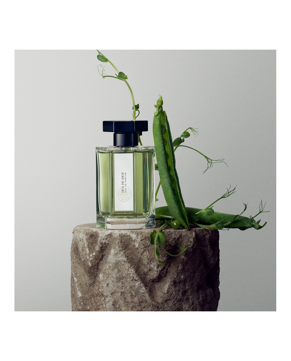 Eau de Parfum Iris de Gris L'Artisan Parfumeur - 100 ml 5