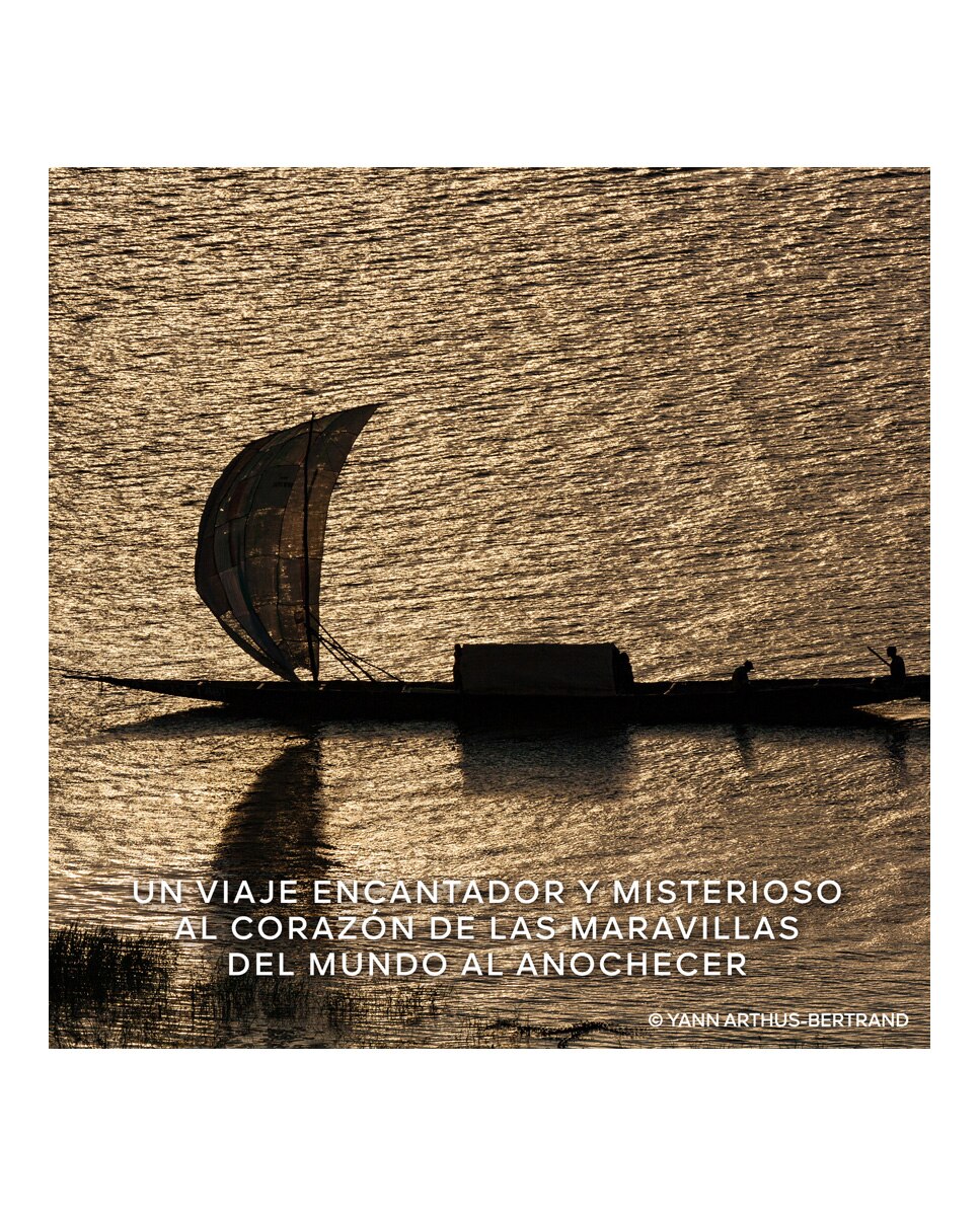 Thumbnail 4 de Guerlain Eau de Parfum Santal Royal 125 ml