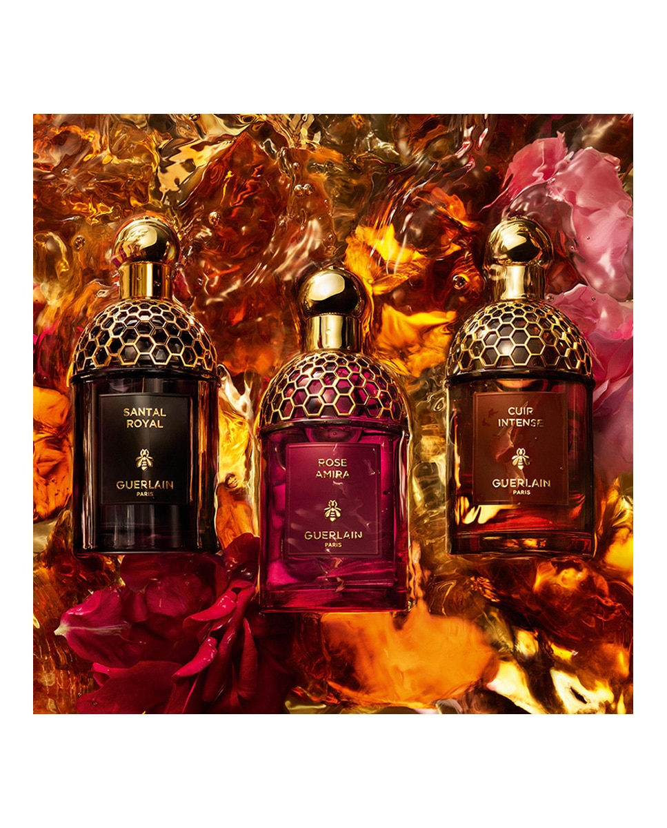 Thumbnail 5 de Guerlain Eau de Parfum Santal Royal 125 ml