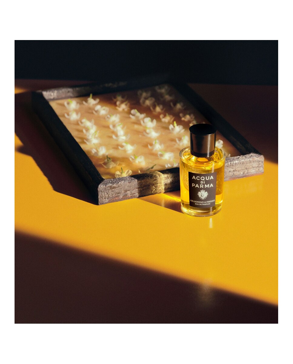 Eau De Parfum Gelsomino A Freddo Acqua Di Parma - 100 ml 3