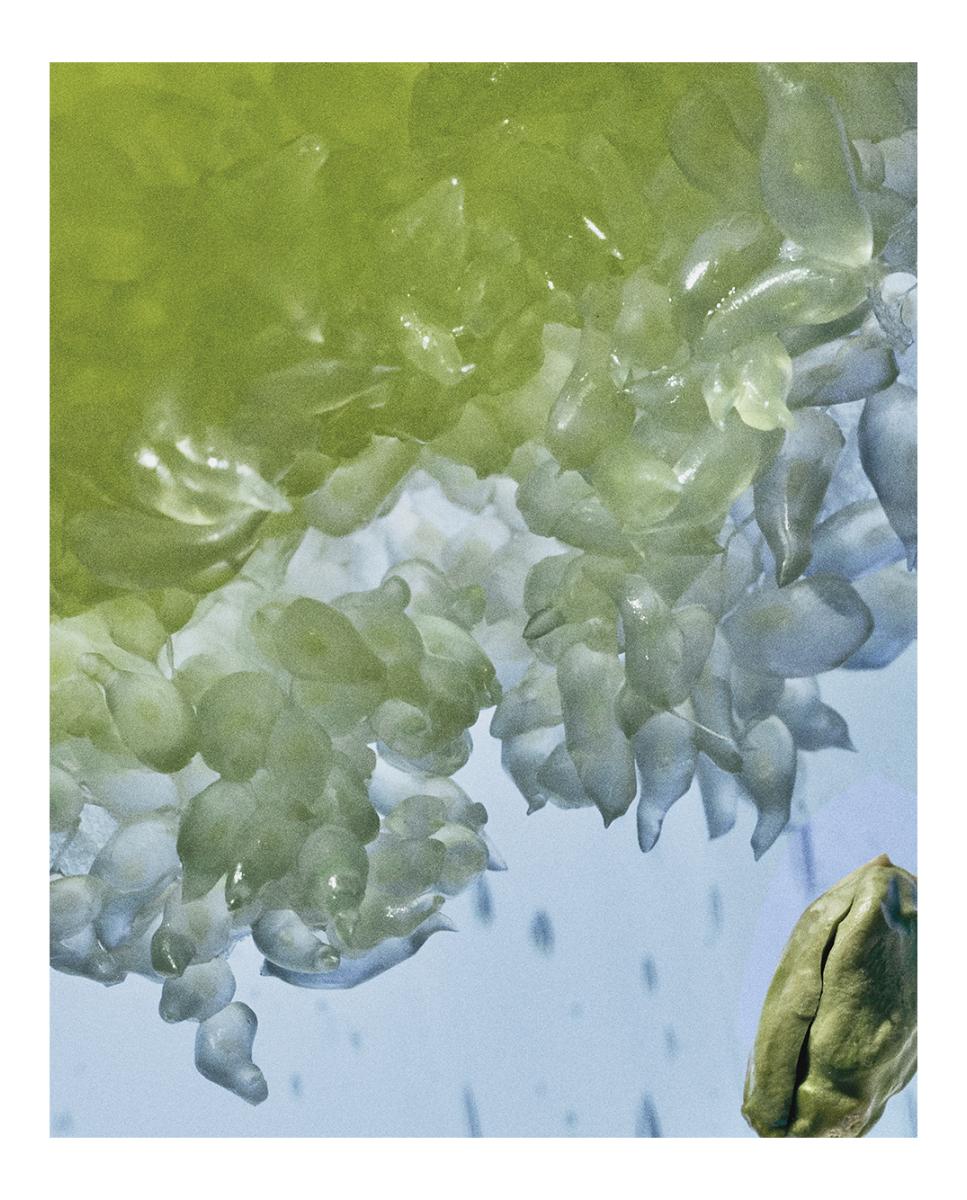 Imagen 3 de Verdant Grove Eau de Parfum 100 Ml