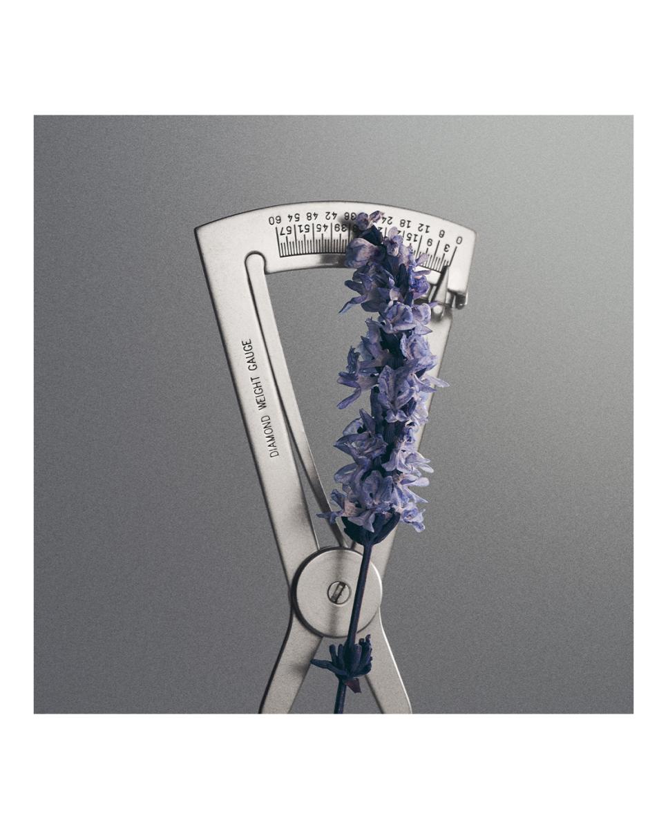 Iris Debonair Eau de Parfum - 50 ml 5