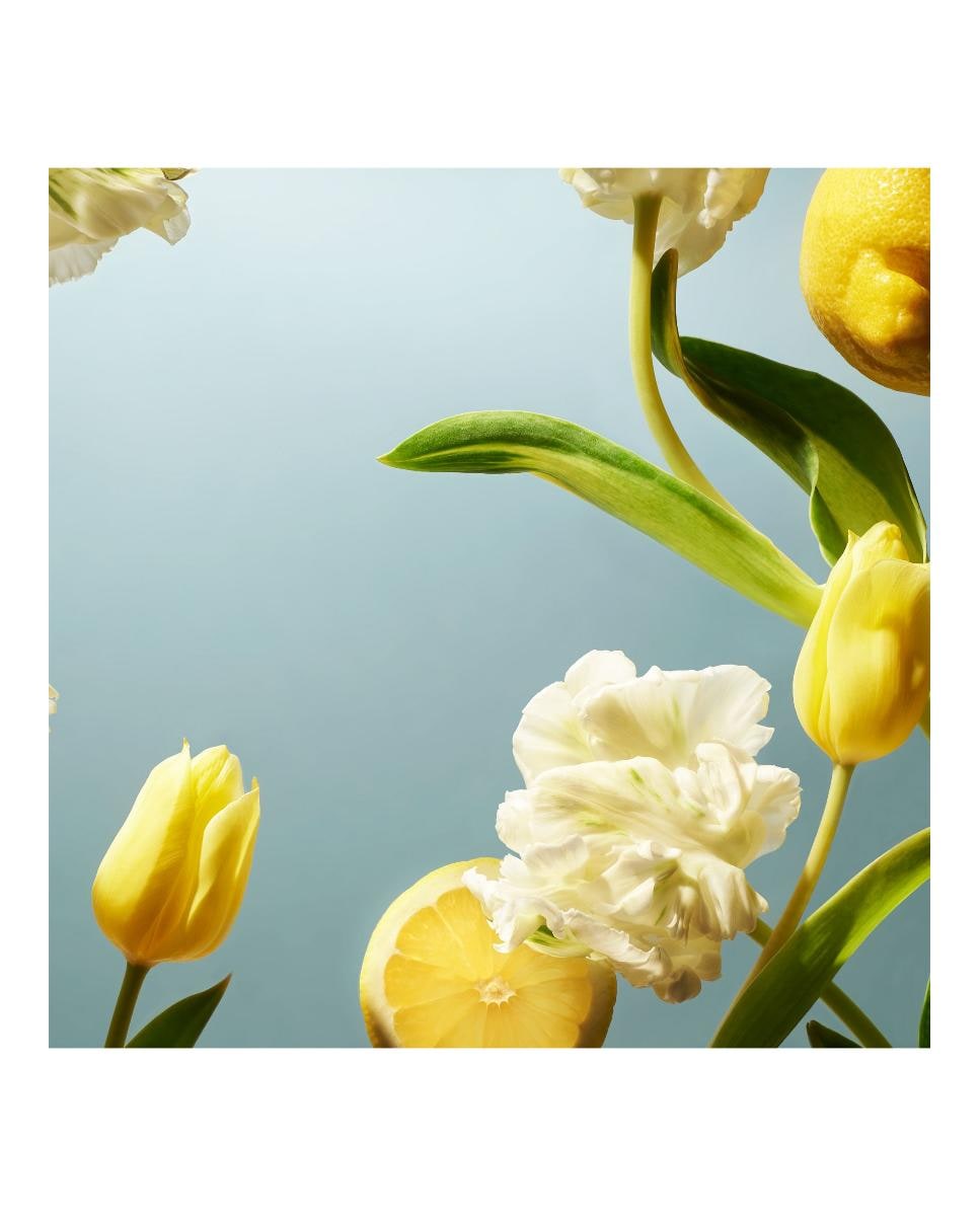 Recarga Crema Corporal Amsterdam Collection 220 ml Rituals 3