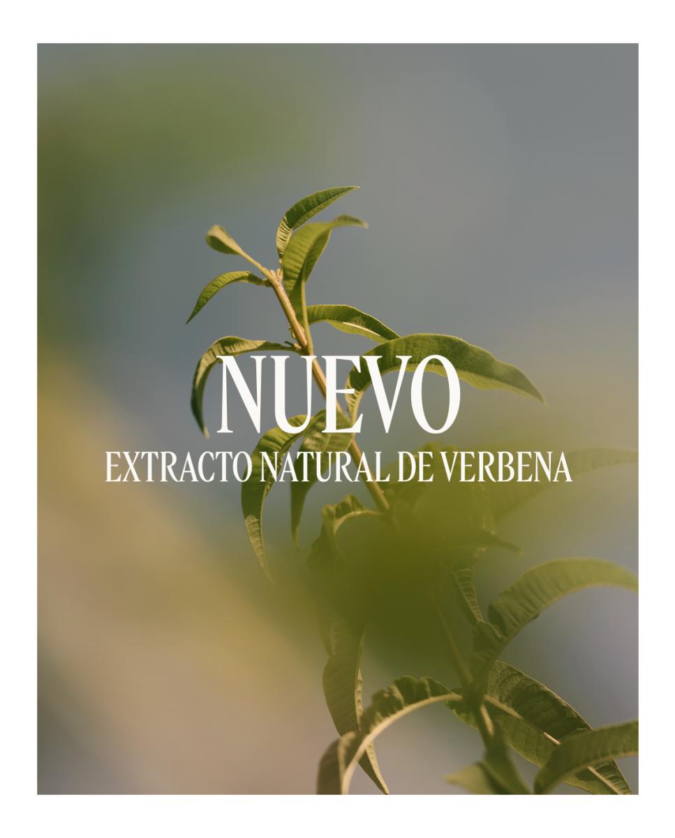 Desodorante Bálsamo Verbena L'Occitane en Provence - 70 g 4