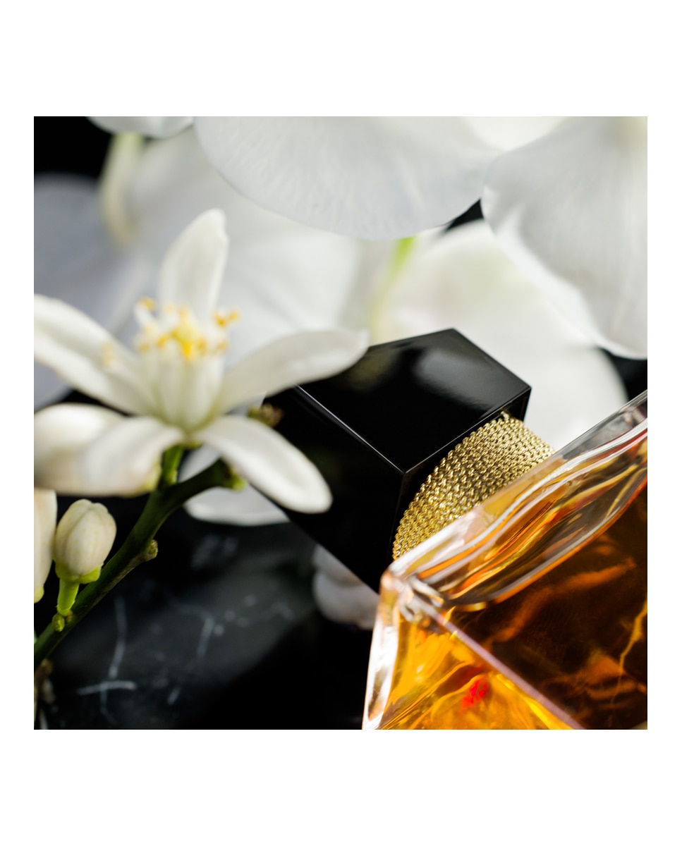 Eau de Parfum Libre intense Yves Saint Laurent - 30 ml 7