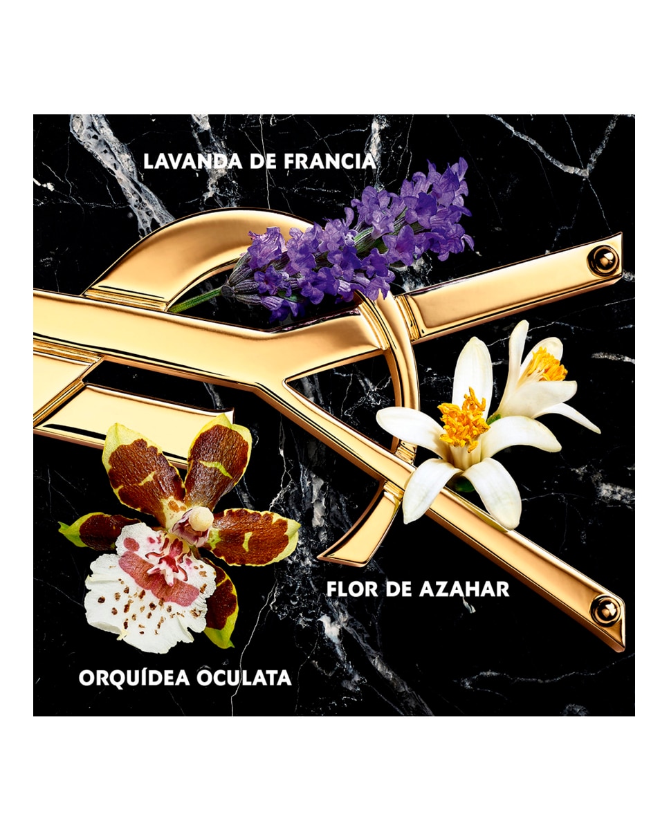 Thumbnail 3 de Yves Saint Laurent Libre Intense 50 ml — Eau de Parfum