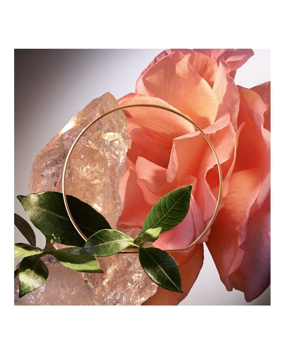 Eau de Parfum Absolue Les Parfum Le Parfum Lancôme 100 ml · El