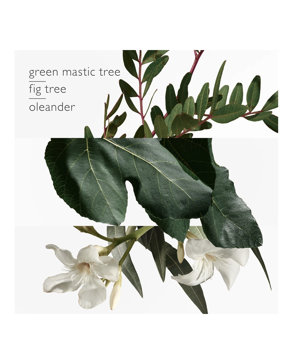 Thumbnail 2 de Hermès Eau de Toilette Un Jardin en Méditerranée 50 ml