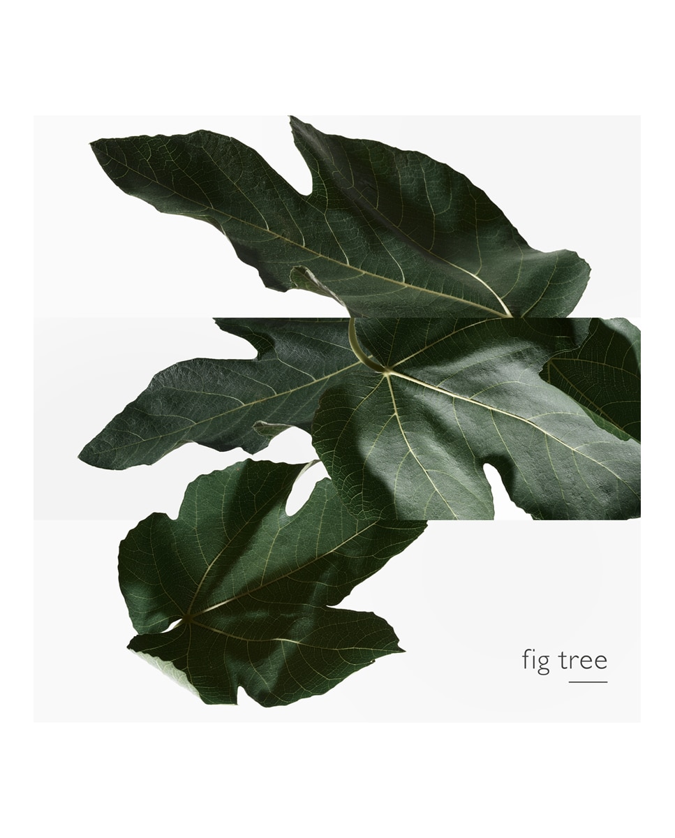 Thumbnail 3 de Hermès Eau de Toilette Un Jardin en Méditerranée 50 ml