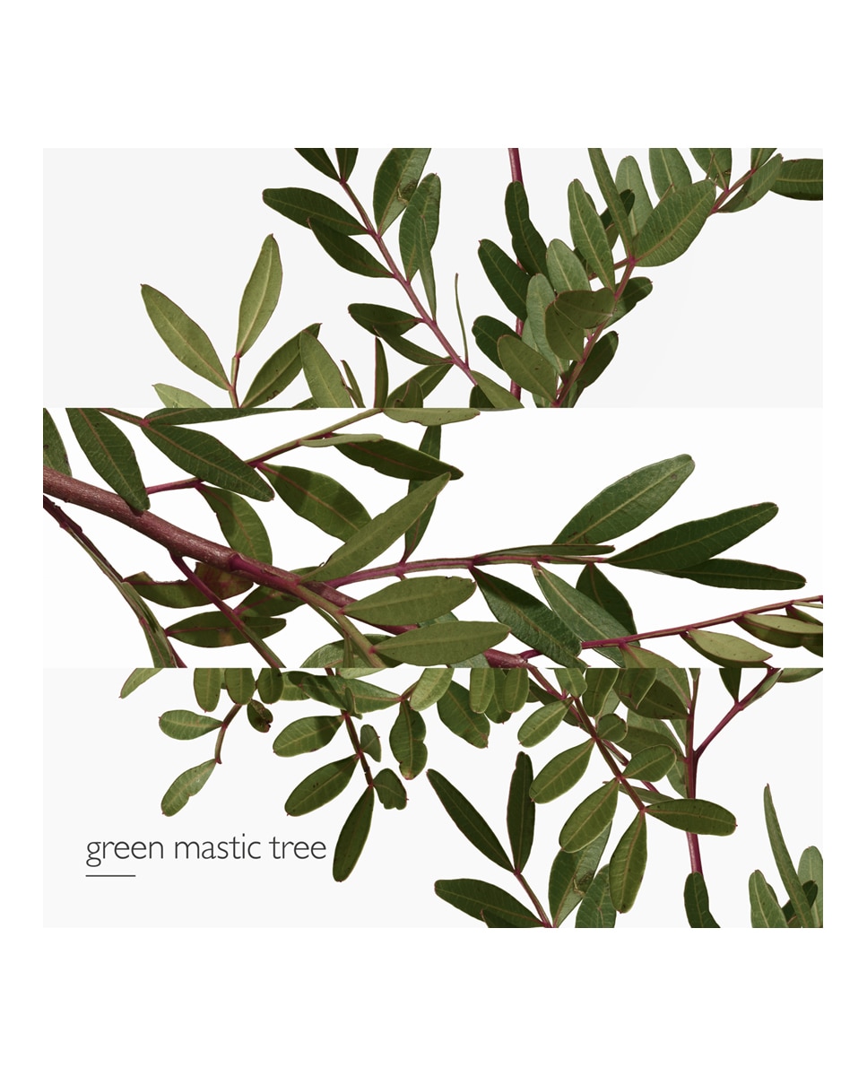 Thumbnail 4 de Hermès Eau de Toilette Un Jardin en Méditerranée 50 ml