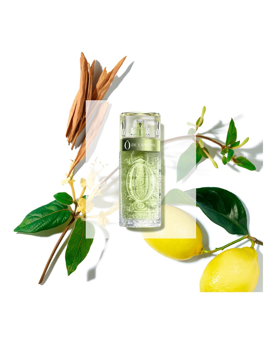 Eau de Toilette Ô de Lancôme Lancôme - 75 ml 4