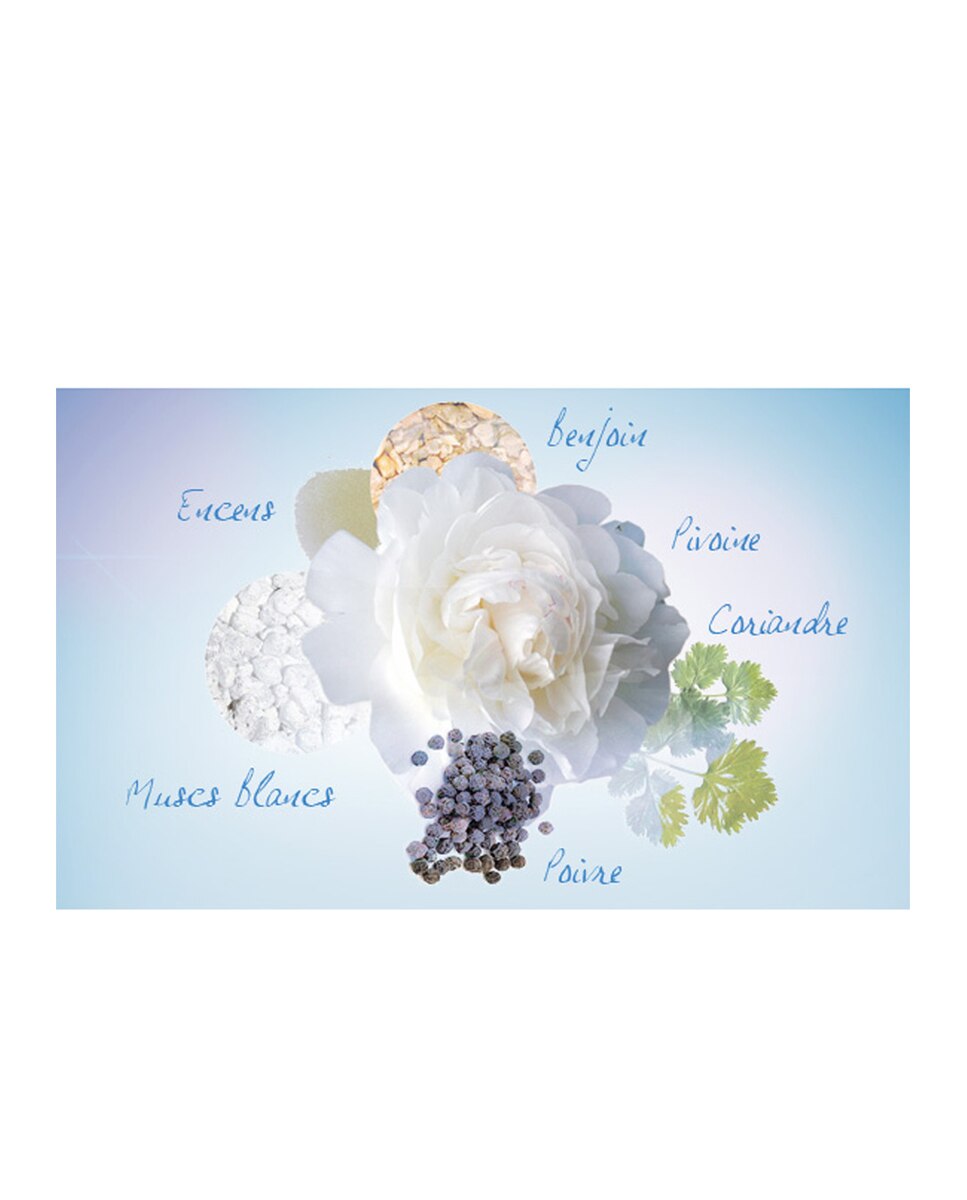 Imagen 4 de Eau de Toilette Noa Cacharel - 100 ml