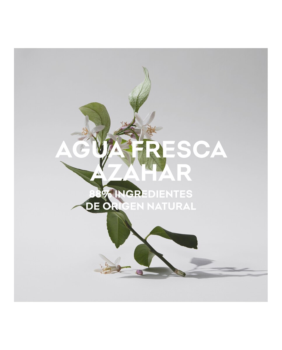 Eau de Toilette Agua Fresca de Azahar Adolfo Domínguez - 60 ml 4