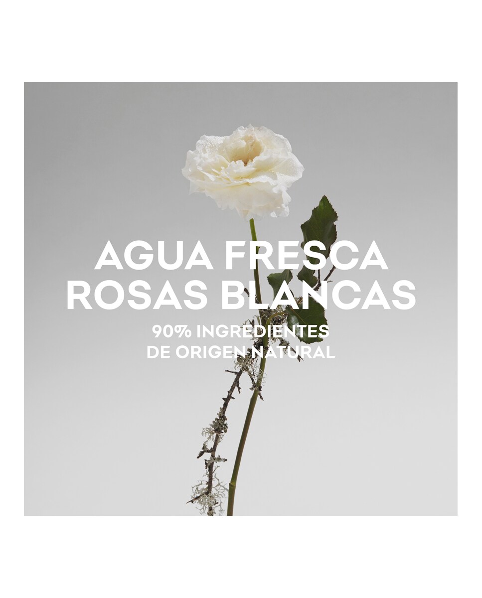 Eau de Toilette Agua Fresca de Rosas Blancas 60 ml Adolfo